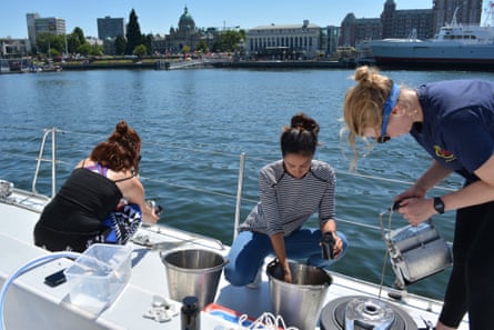 Meg Tapp (left), Laura Leiva, and Imogen Napper collect samples from the floor of the marina in Victoria, British Columbia.