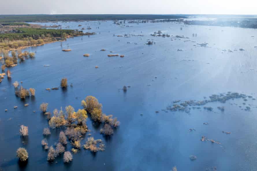 A flooded area near Kozarovychi town, north of Kyiv.