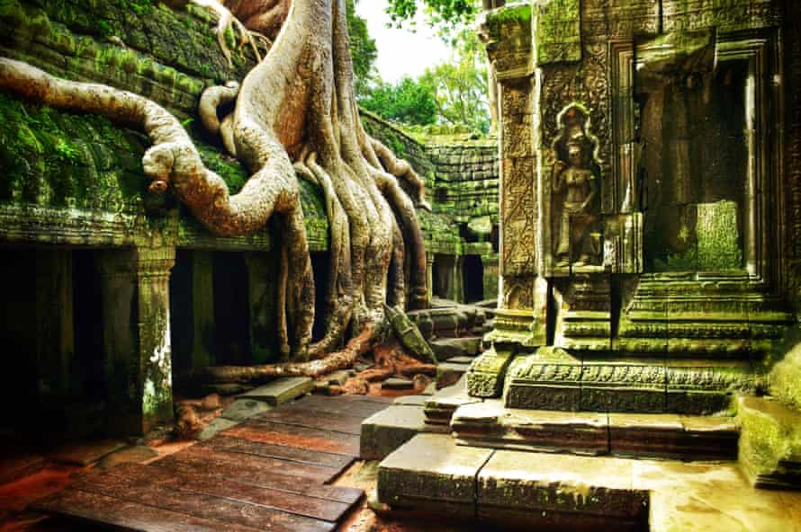The temple of Ta Prohm at Angkor Wat, Cambodia.