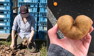 Tech startups such as Souper Seconds and Cerplus have developed web and mobile services to help farmers find buyers of surplus or imperfect-looking produce.