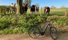 Cheese, cider, bike: a tasty tour of the West Country