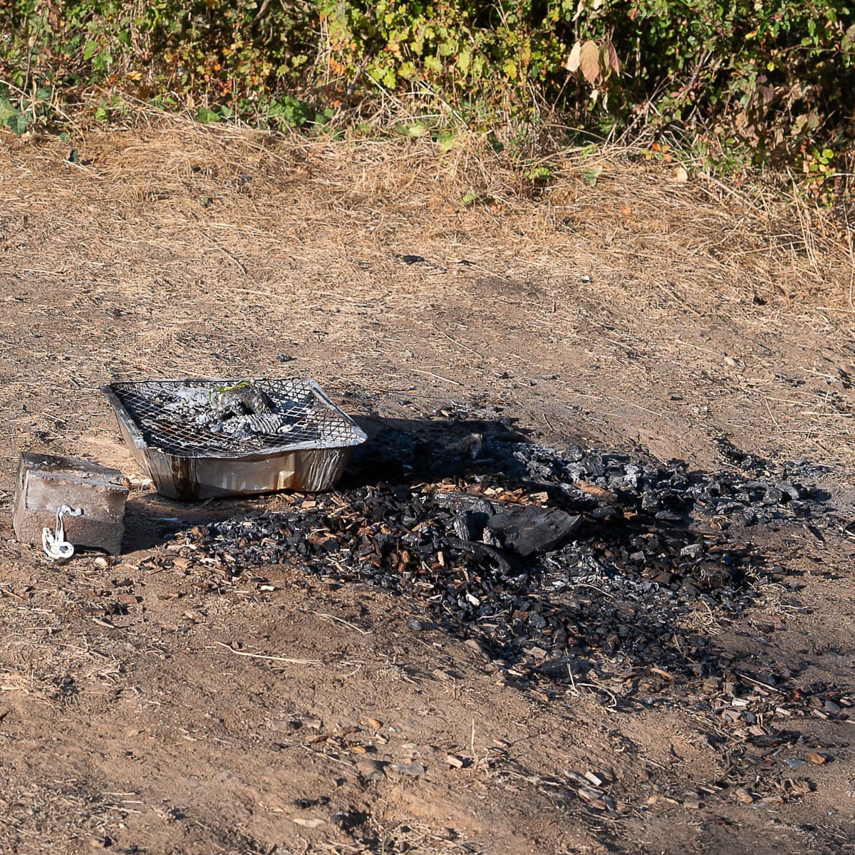 Britain Bans Disposable Barbecue Sales as Wildfires Prompt Military Deployment