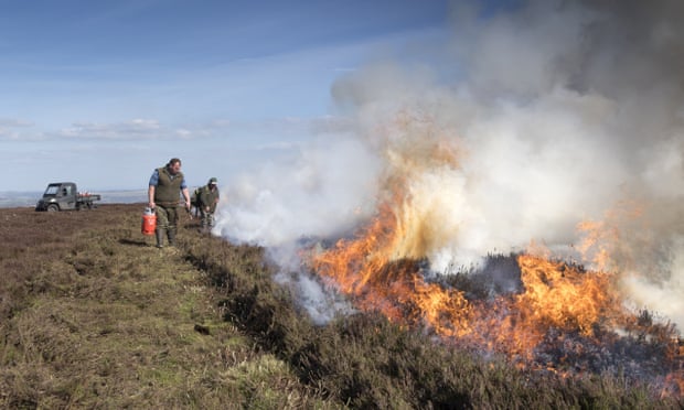 Gamekeepers start a fire on a grouse moor.