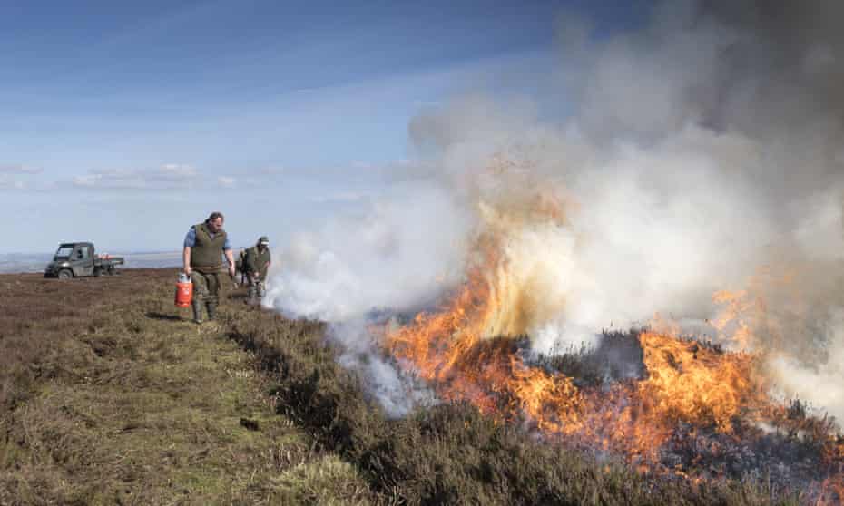 Gamekeepers burn a grouse moor in the Yorkshire Dales
