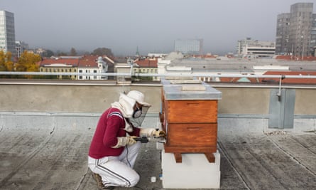 Urban beekeeper
