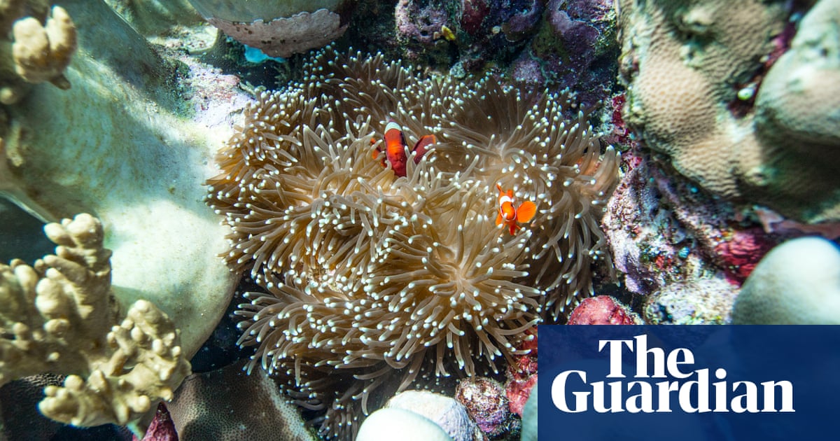 Living in Indonesia's marine protected areas - in pictures
