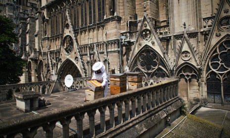 Sibyle Moulin tending the hives on the roof of Notre Dame in 2018.