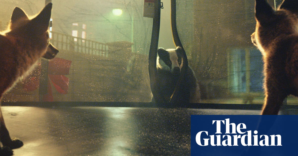 We Had A Fox Stuck On A Trampoline Wildlife Charities React To The John Lewis Christmas Ad Christmas Ads The Guardian