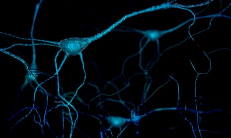 Rendering of neuron cells sending electrical chemical signals
