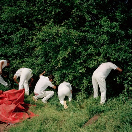 Cricket players dressed in white peer into a hedge looking for a lost ball