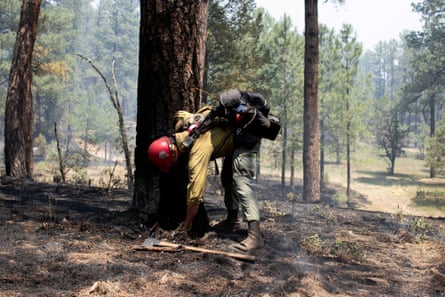 person in forest wearing yellow top, green pants and red hat bends down to ground near tree