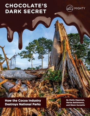 Report from Mighty.org