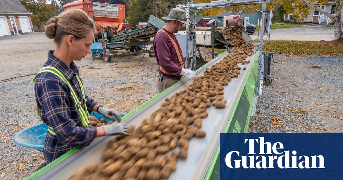 star-trek-for-potatoes-can-a-hi-tech-farm-save-french-fries-from-the-climate-crisis