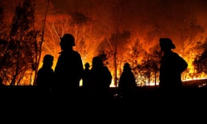 Firefighters silhouetted against burning bush.