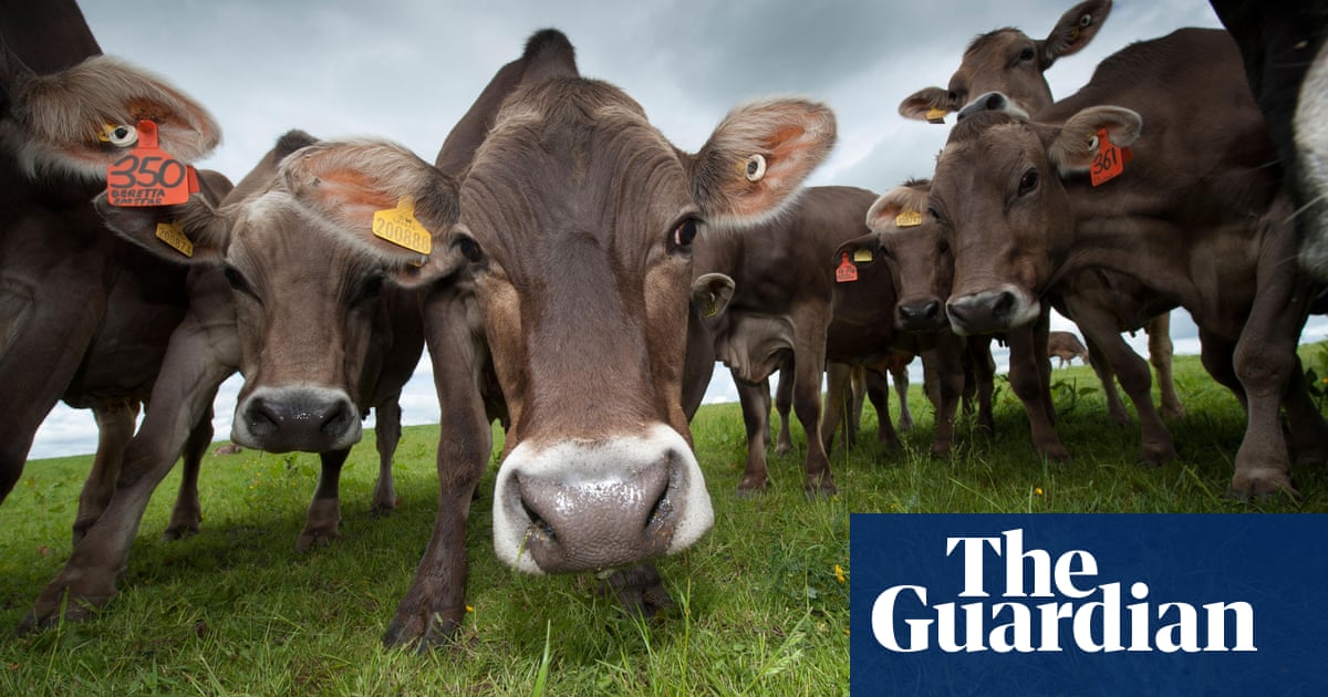 The Organic Farm Generating Five Star Electricity From Cow