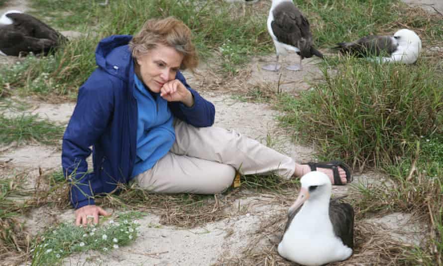 Oceanographer Dr Sylvia Earle, and Wisdom, the oldest known living Laysan albatross, at Midway Atoll national wildlife refuge.