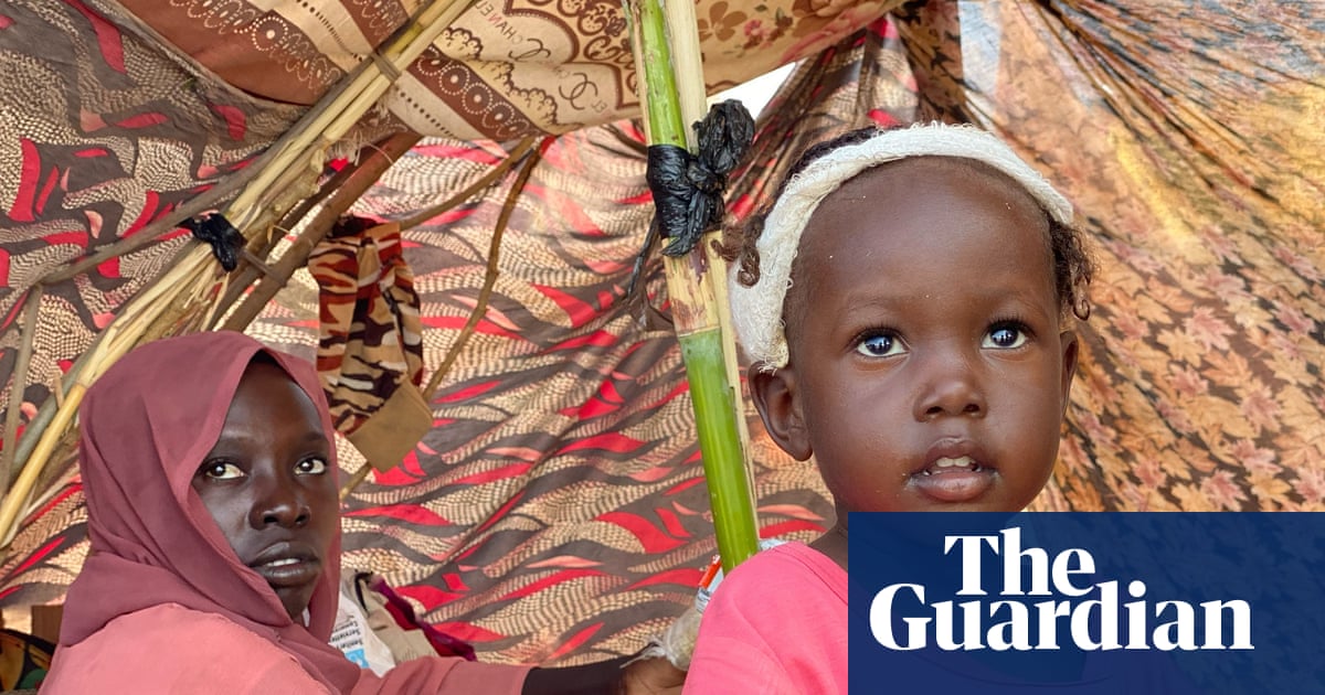 UK rejected atrocity prevention plans for Sudan despite warning of possible genocide