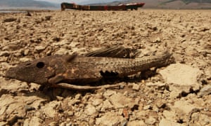 Low water levels, a consequence of El Nino, at Lake Calima in Colombia in 2016.