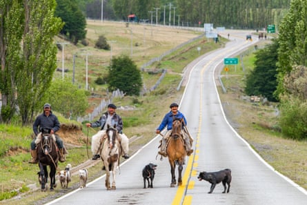 Trois gauchos à cheval le long d'une route, accompagnés de chiens, sur une route de Villa Cerro Castillo, parc national Cerro Castillo, Aysen, Patagonie.