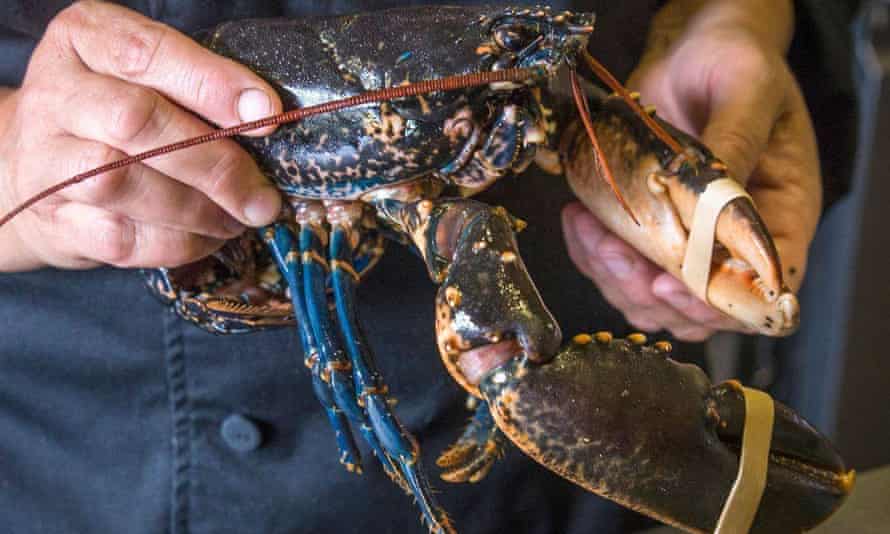 ‘There’s no better place for seafood’: the west coast of Scotland.