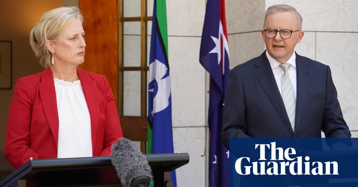 Albanese criticizes Ley's Mars analogy as disrespectful to Indigenous Australians