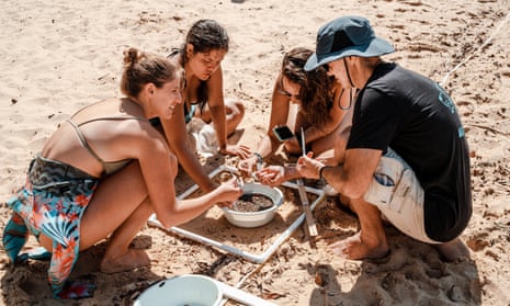 Australian Microplastic Assessment Project (Ausmap) volunteers survey Australian beaches for plastic pollution