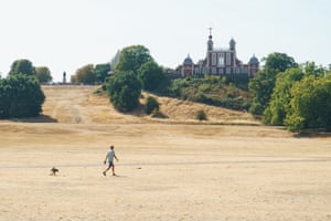 A parched Greenwich park in London, England