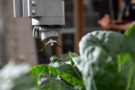 Robots ‘farm’ food on the Plant life in Home program on the University of Melbourne.