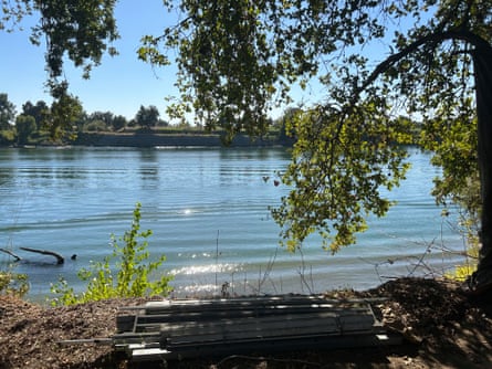 A view of a lake with trees branches over head