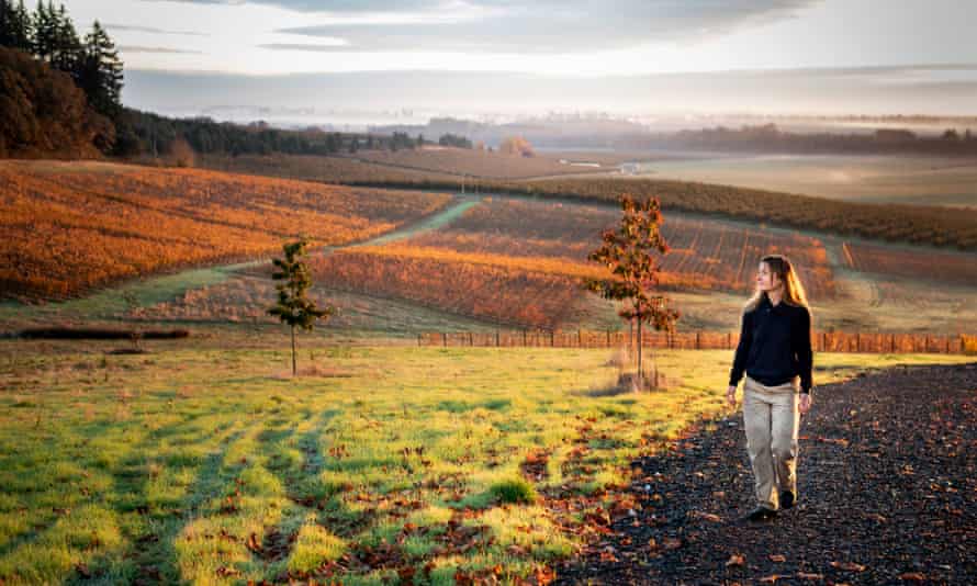 Mimi Casteel of Hope Well Wine in Salem, Oregon. Wildfires last year caused huge damage to her vineyards.