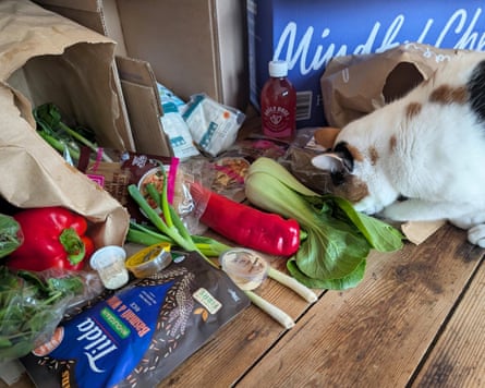 The fresh veg contents of a Mindful Chef box with a cat nuzzling into a the goods.