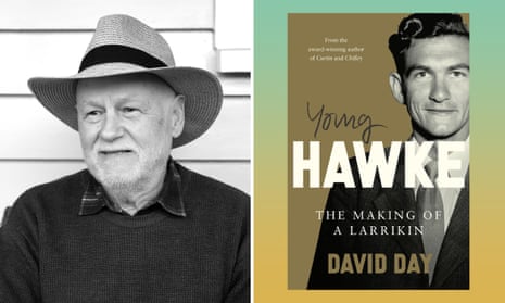 David Day and the Young Hawke book cover