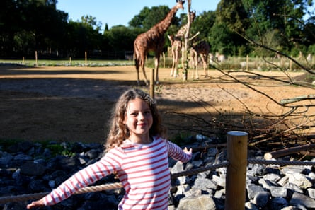 Nell and the giraffes