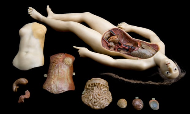 Wax anatomical figure of reclining woman used between 1771-1800.