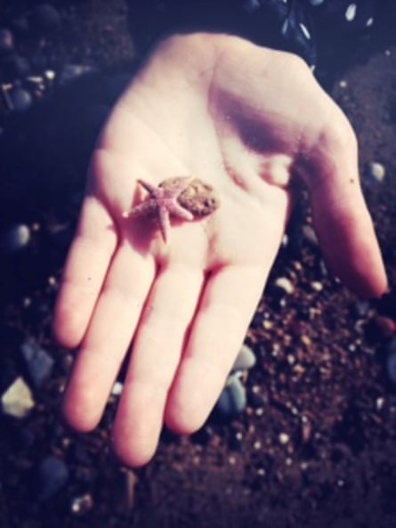 An outstretched hand holding a tiny starfish