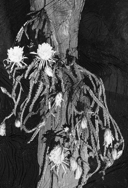 Cradle of Moses (Queens of the Night) from Sylvie Bonnot’s series The Kingdom of Mosquitoes