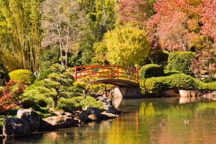 The Japanese Garden in Toowoomba
