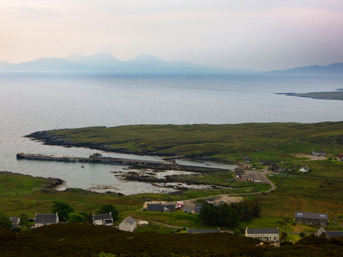 Man whose mother-in-law's blue and black dress went viral charged with trying to kill wife | Scotland | The Guardian Man whose mother-in-law's blue and black dress went viral charged with trying to kill wife | Scotland | The Guardian