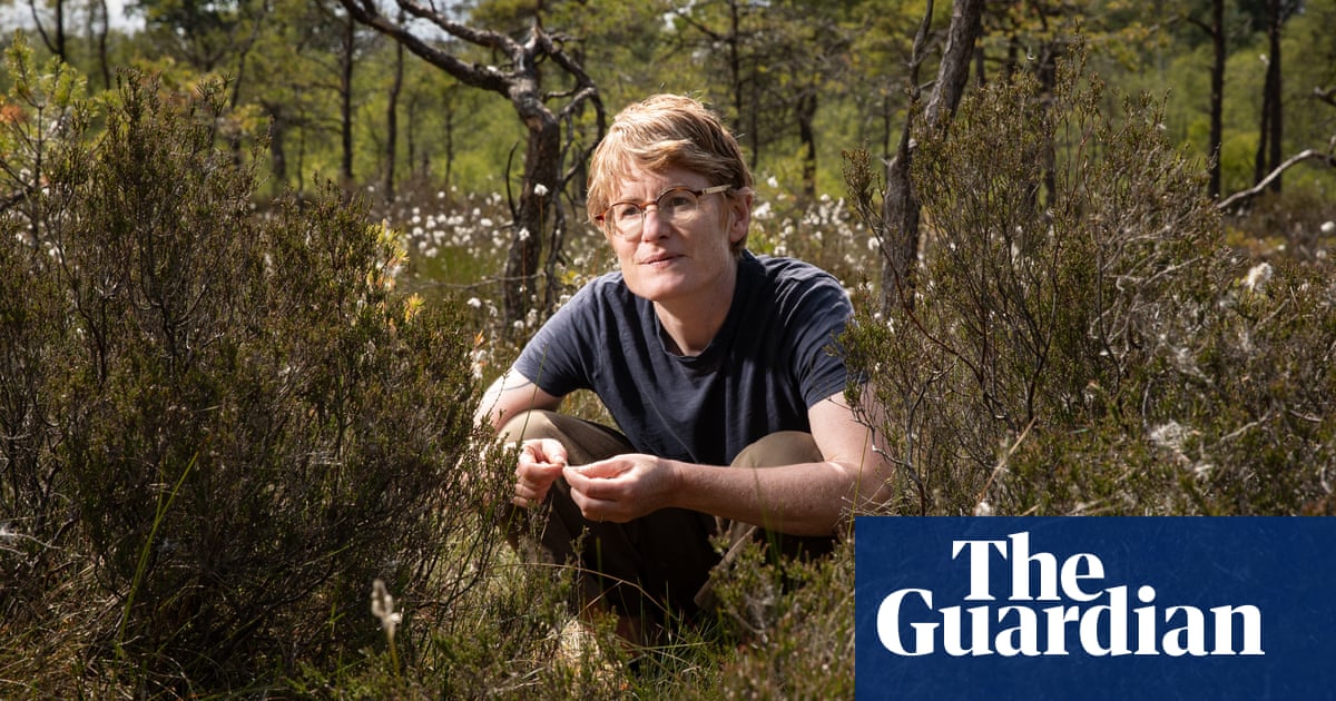 It takes 25 years for a footprint to disappear'  the secret, beguiling magic of Britain's bogs