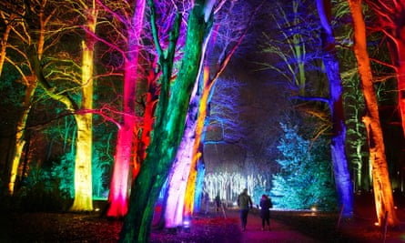 Christmas at Westonbirt Arboretum.