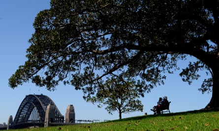 A Moreton Bay Fig tree looms large with the Sydney Harbour Bridge in the background at Observatory Hill Park, Sydney