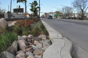 Bioswale along cermak road