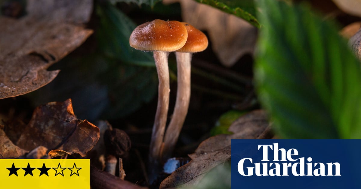 The Psychedelic Drug Trial review – a mind-bending magic mushroom mission