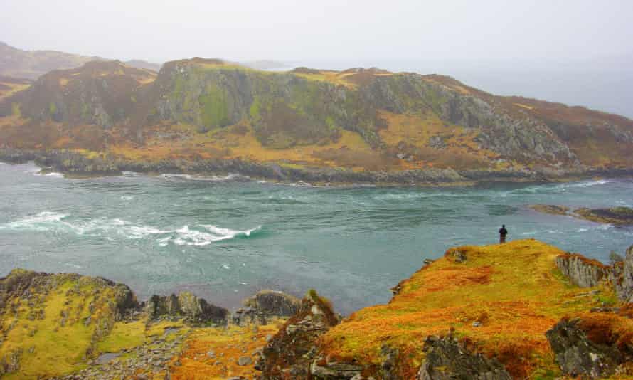 Person on rugged shore Wild Art Scotland  wilderness retreat
