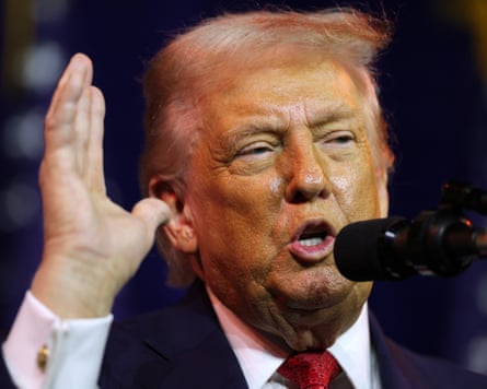 Donald Trump astatine mic pinch manus successful aerial