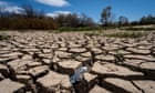 Global heating likely to hit world food supply before 1.5C, says UN expert