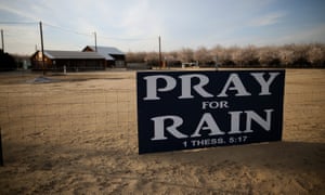 An almond farm in Turlock, California, during the drought in 2014.