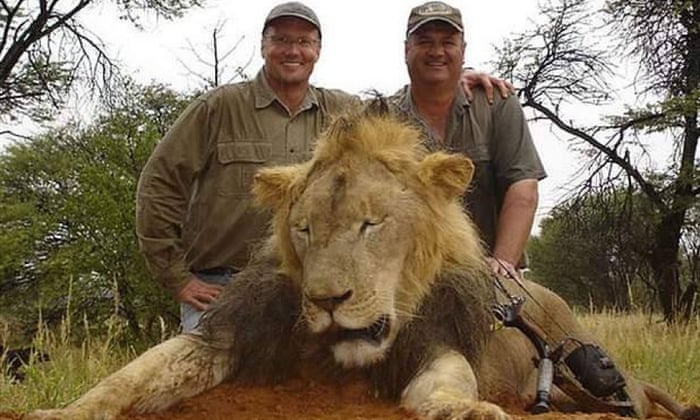 Who Would Want To Kill A Lion Inside The Minds Of Trophy Hunters