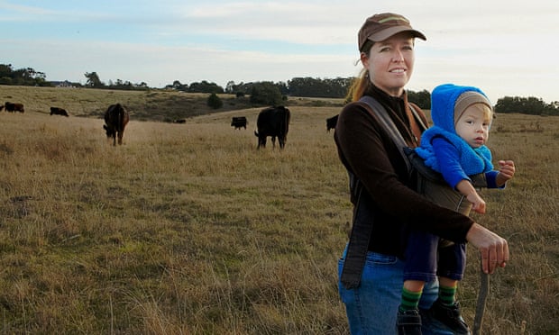It's Not The Cow, It's The How': Why A Long-Time Vegetarian Became Beef's  Biggest Champion | Food | The Guardian