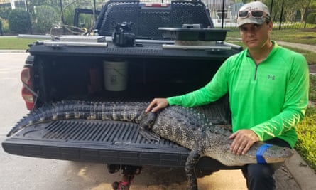 Chris Stephens, aka Gator Chris, with an alligator he caught.
